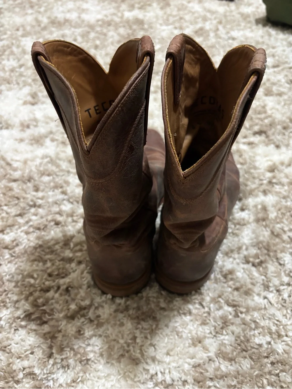 Tecovas The Earl boots in Scotch Goat leather
